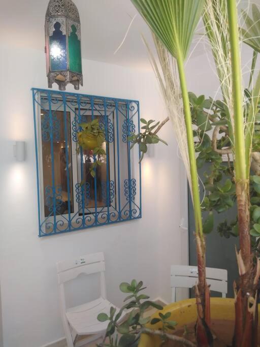 Cosy Appartement In "Sidi Bou Said" Exterior photo