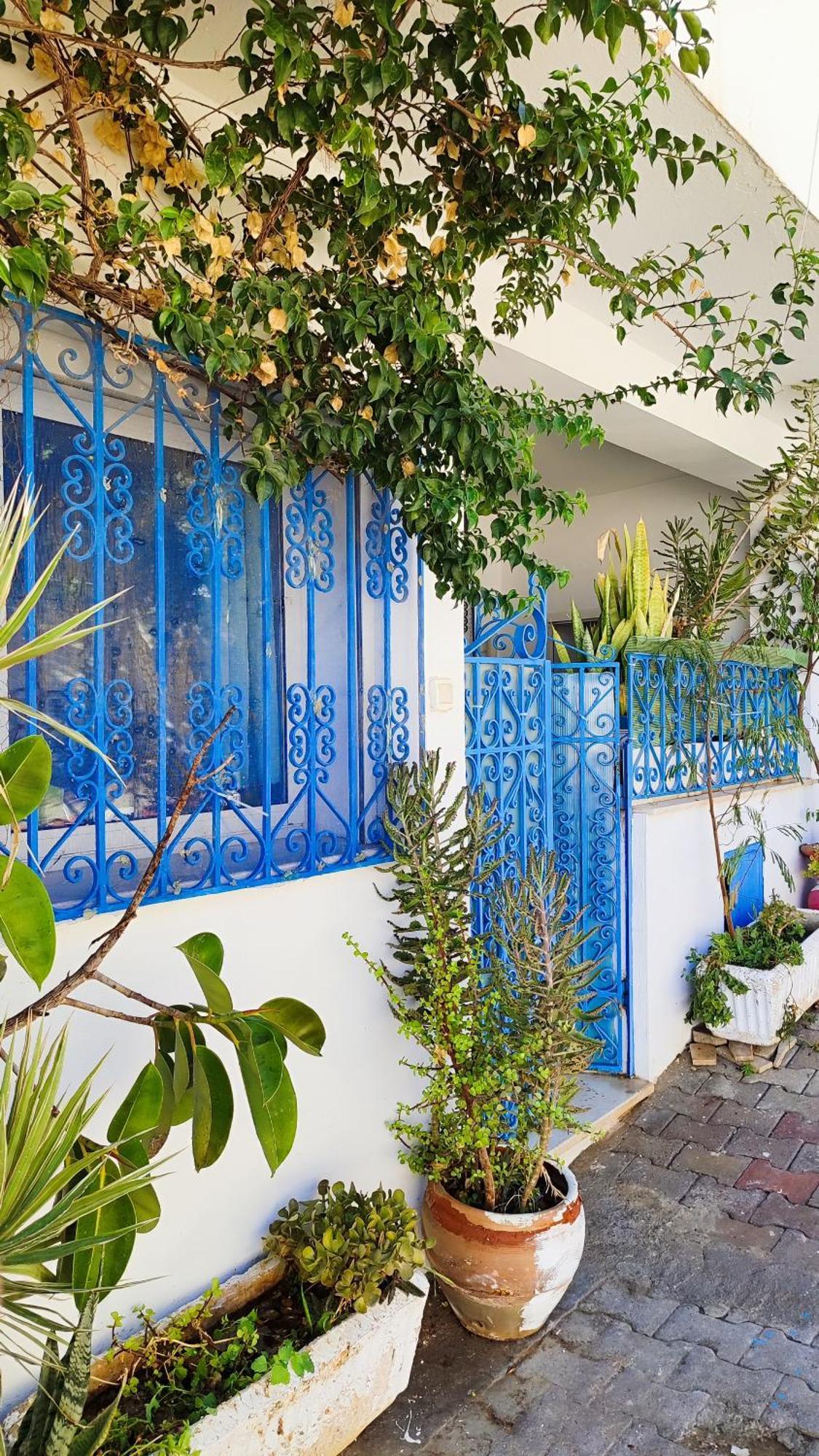 Cosy Appartement In "Sidi Bou Said" Exterior photo